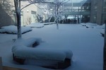 総合南東北福祉センター雪化粧の中庭